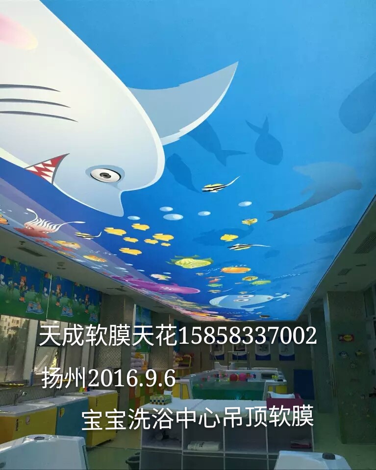 松江可定做透光膜灯箱=灯箱拉膜=喷绘膜 天成软膜天花厂家图片_高清图_细节图-天成软膜天花装饰材料 -